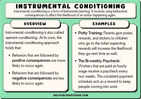 difference between classical and instrumental conditioning|Instrumental Conditioning With Examples .